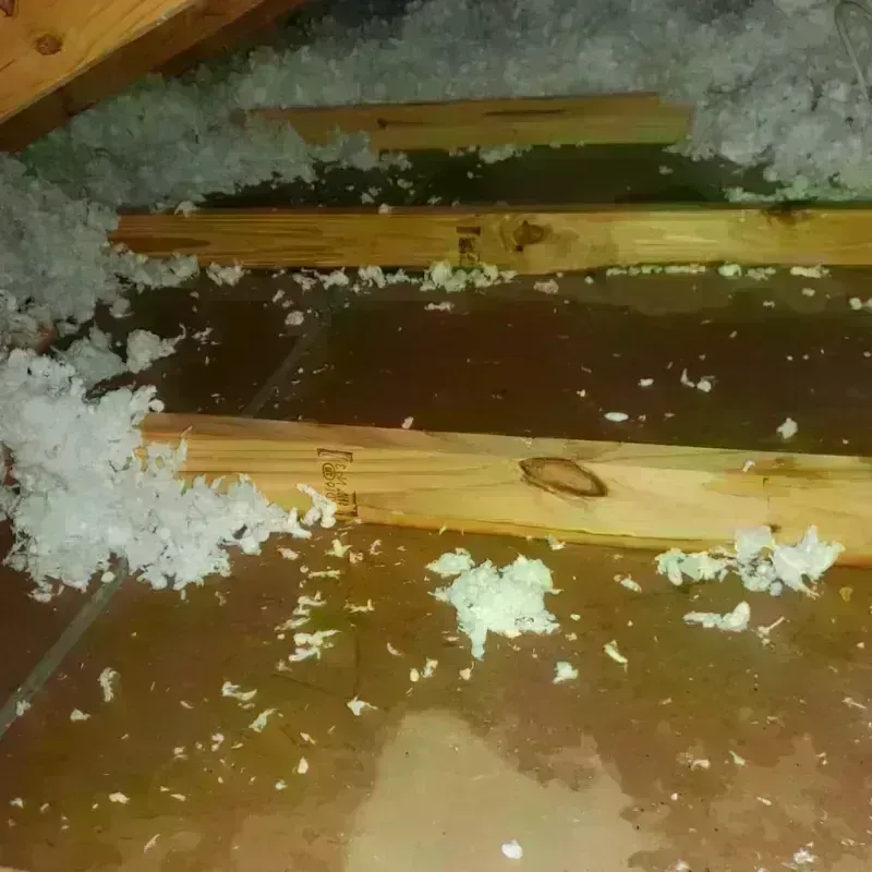 Attic Water Damage in Atwood, IL