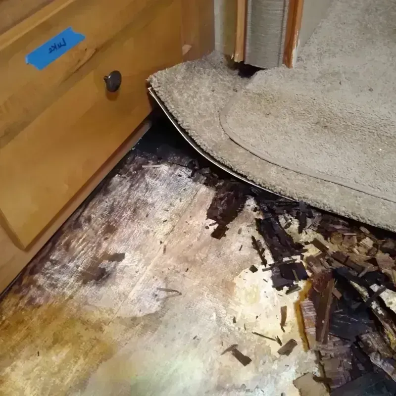 Wood Floor Water Damage in Atwood, IL